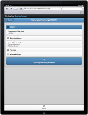 Details der Störungsmeldung